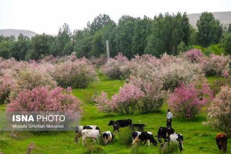 آذربایجان شرقی، نگینی در دل کوه های استوار