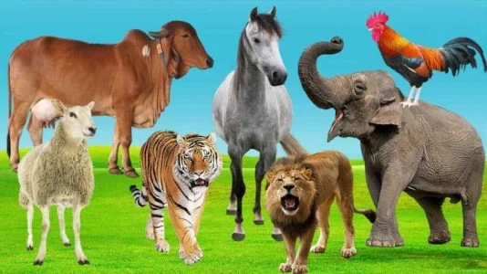 صدای حیوانات برای یادگیری کودکان