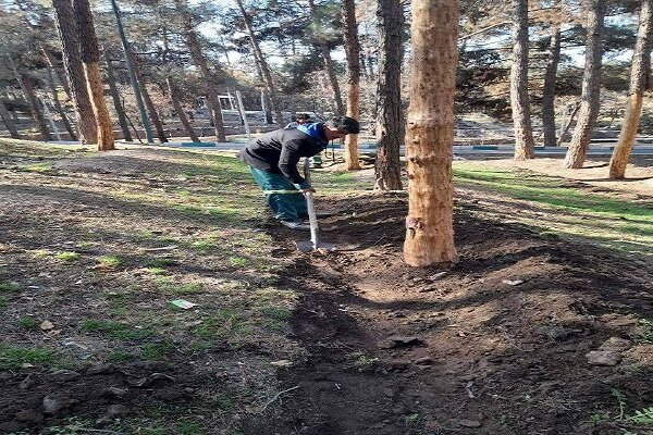 لایروبی انهار و بهبود فضای سبز بوستان جنگلی سرخه حصار - خبرگزاری ساز ایرانی | اخبار ایران و جهان