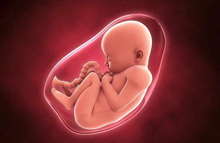 مایع آمنیوتیک چیست و مقدار نرمال آن چقدر است؟
