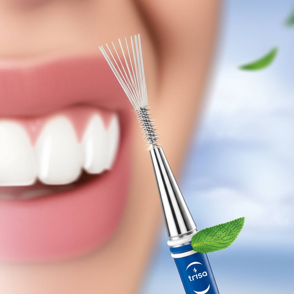 خرید براش بین دندانی تریزا پروفشنال 1.3mm ISO 4