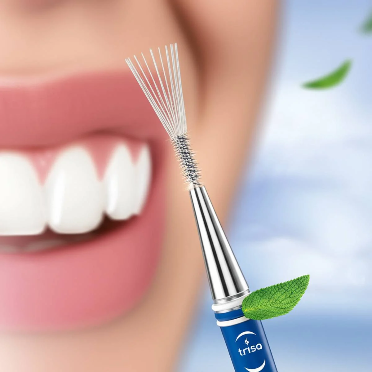 خرید براش بین دندانی تریزا پروفشنال 1.3mm ISO 4