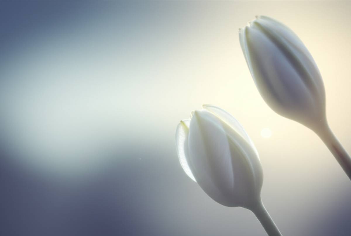 سقط جنین سه ماهه: از علل تا بهبود جسمی و روحی